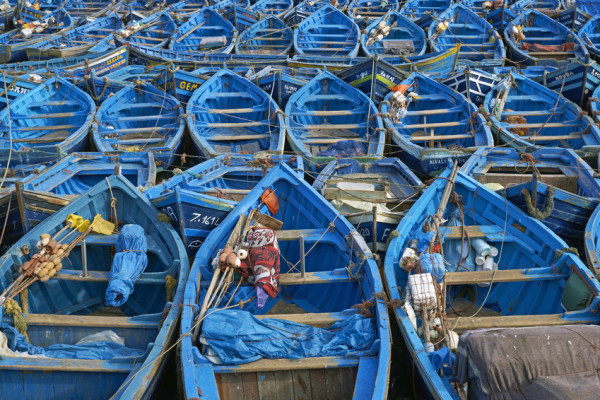 Wie Excel erfüllt das kleine Boot seinen Dienst, bietet aber eine Menge Potenziale