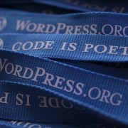 Schutz vor Hackern, Bots und Spammern dank 10 WordPress Regeln
