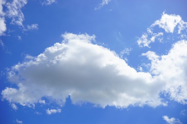 Mit der Digitalisierung von Geschäftsprozessen Zeit und Kosten sparen.