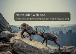 Native oder Web-App – Entscheidungsfindung bei der App-Entwicklung