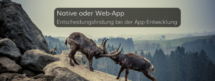 Native oder Web-App – Entscheidungsfindung bei der App-Entwicklung
