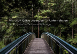 Wir zeigen Ihnen den Weg zur geeigneten Microsoft Office Software für Ihr Unternehmen