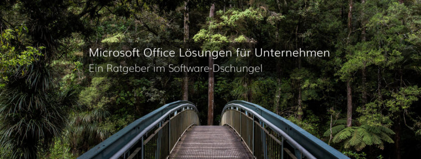 Wir zeigen Ihnen den Weg zur geeigneten Microsoft Office Software für Ihr Unternehmen