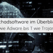 Unser Überblick über die Arten von Schadsoftware für IT-Systeme