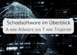 Unser Überblick über die Arten von Schadsoftware für IT-Systeme