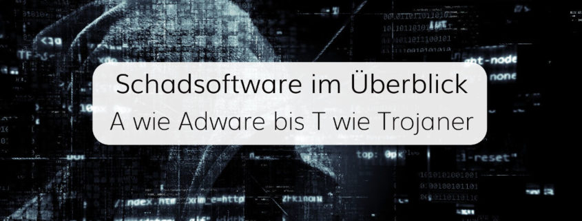 Unser Überblick über die Arten von Schadsoftware für IT-Systeme